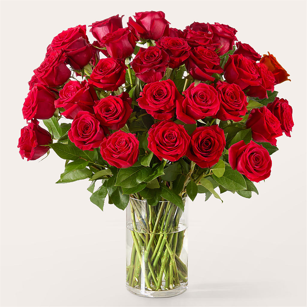 The One Red Rose Bouquet – Simply Gorgeous Flowers, Harvey LA