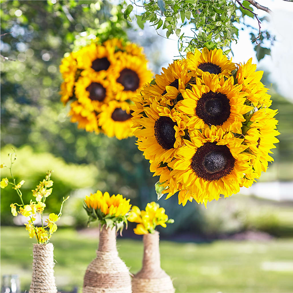 Sublime Garden Hanging Arrangement – Simply Gorgeous Flowers, Harvey LA