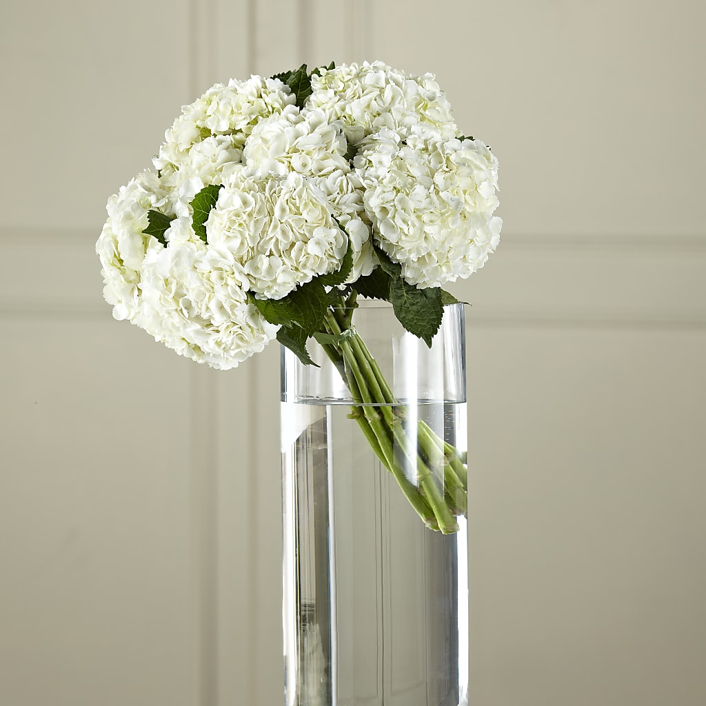 White Hydrangea Hand-Tied Bouquet – Simply Gorgeous Flowers, Harvey LA