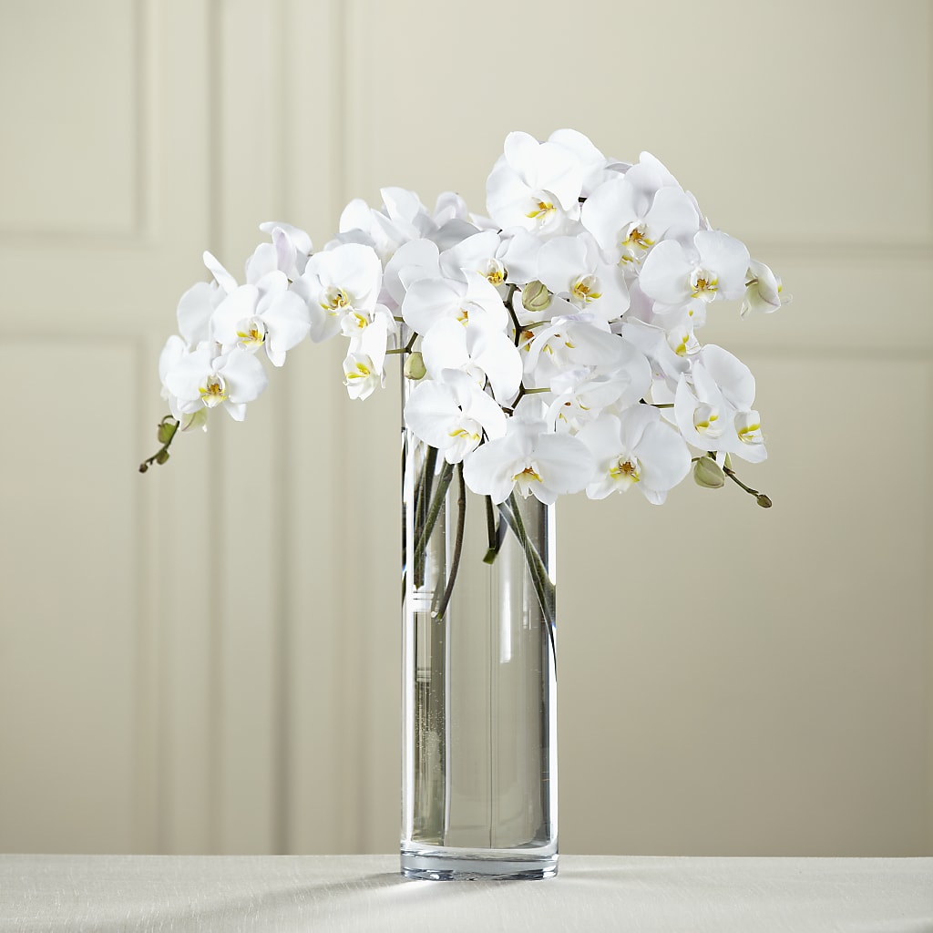 White Phalaenopsis Bouquet – Simply Gorgeous Flowers, Harvey LA