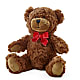 Adorable Plush Bear –  Simply Gorgeous Flowers, Harvey LA
