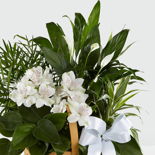 Peace & Serenity Dishgarden –  Simply Gorgeous Flowers, Harvey LA