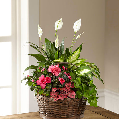 Dream in Pink Dishgarden –  Simply Gorgeous Flowers, Harvey LA