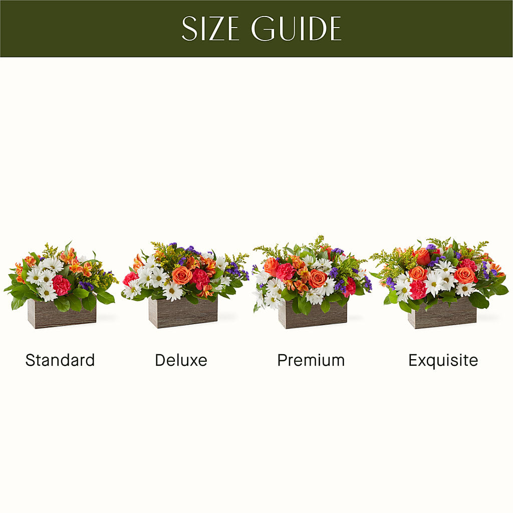 Oopsie Daisy Box Bouquet –  Simply Gorgeous Flowers, Harvey LA