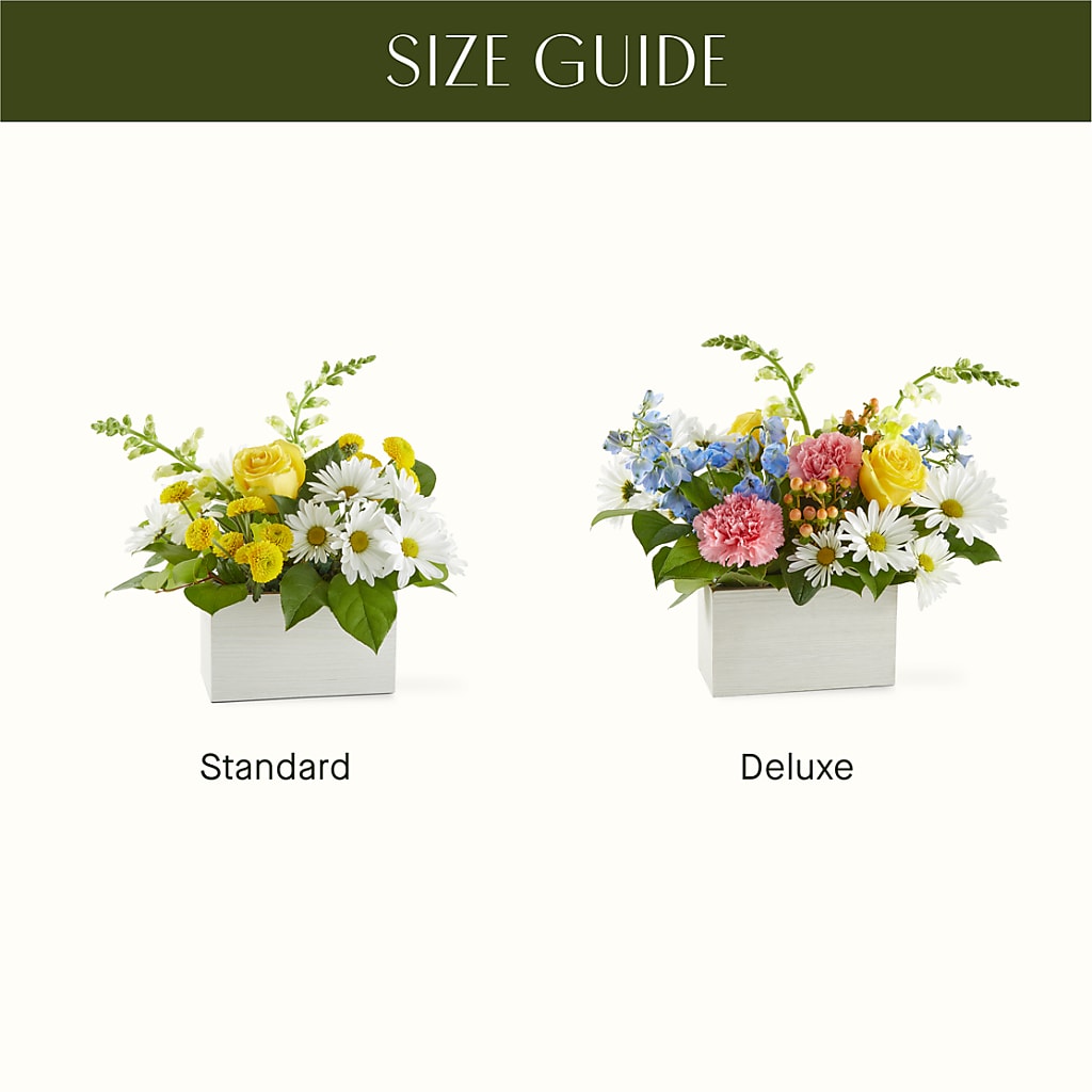 Sun Salutation Box Bouquet –  Simply Gorgeous Flowers, Harvey LA
