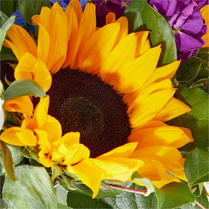 Catching Rays Bouquet –  Simply Gorgeous Flowers, Harvey LA
