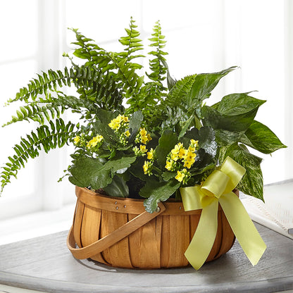 Always Dear Dishgarden –  Simply Gorgeous Flowers, Harvey LA