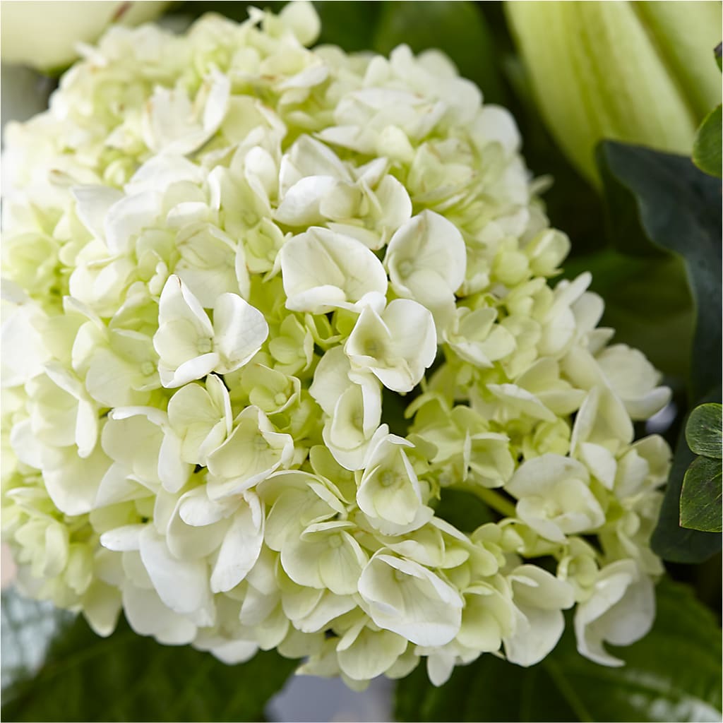 Classic Ivory – A Florist Original –  Simply Gorgeous Flowers, Harvey LA