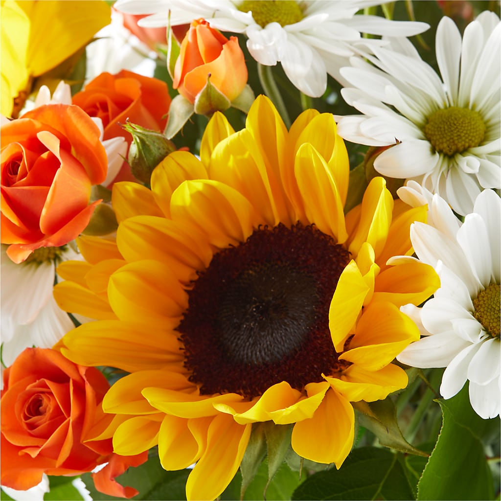 Sun-drenched Blooms Bouquet –  Simply Gorgeous Flowers, Harvey LA