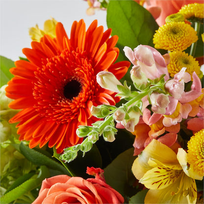 Autumn Sunshine Bouquet –  Simply Gorgeous Flowers, Harvey LA