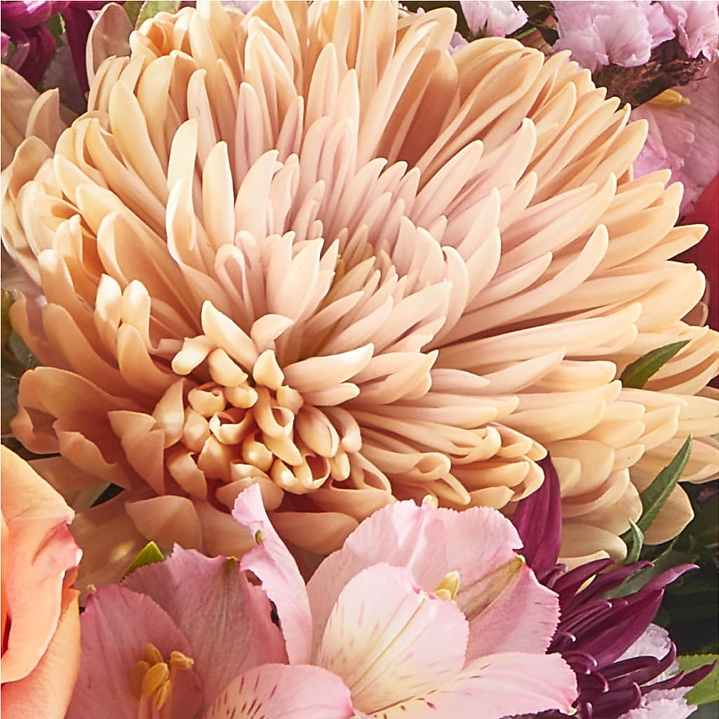 Berry Cobbler Bouquet –  Simply Gorgeous Flowers, Harvey LA