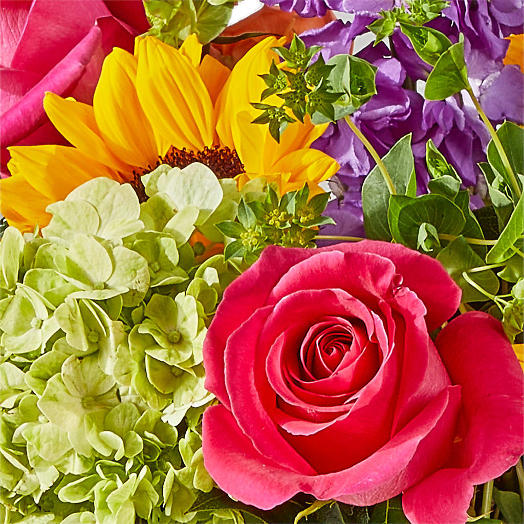 Vibrant Greetings Bouquet –  Simply Gorgeous Flowers, Harvey LA