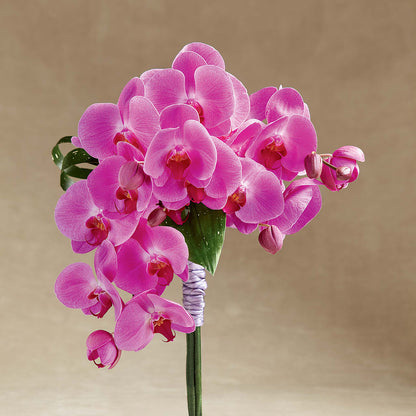 Glorious Bouquet –  Simply Gorgeous Flowers, Harvey LA