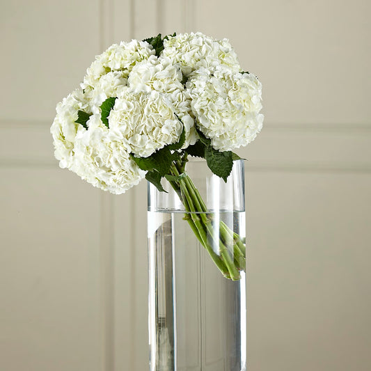 White Hydrangea Hand-Tied Bouquet