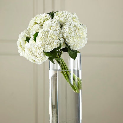 White Hydrangea Hand-Tied Bouquet –  Simply Gorgeous Flowers, Harvey LA