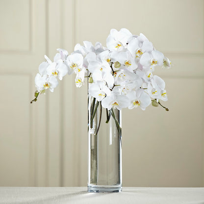 White Phalaenopsis Bouquet –  Simply Gorgeous Flowers, Harvey LA
